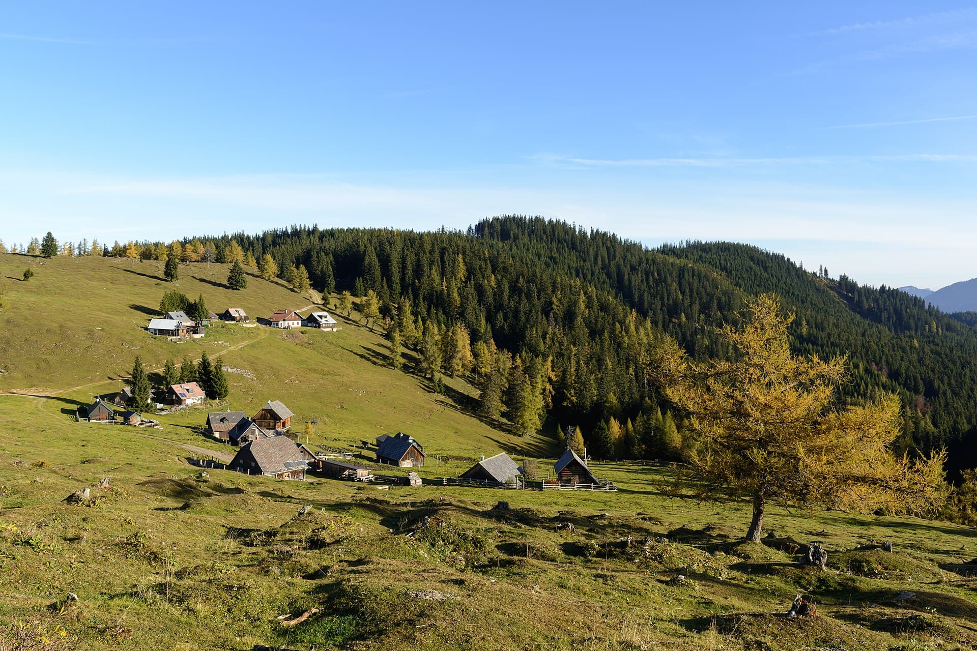 Seznamovací kurzy